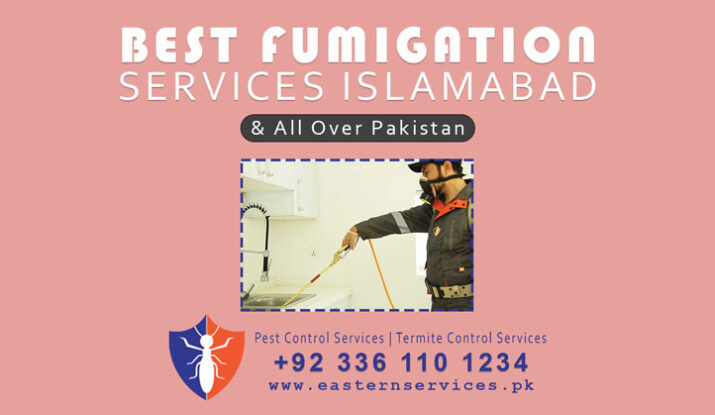 best fumigation services in islamabad
