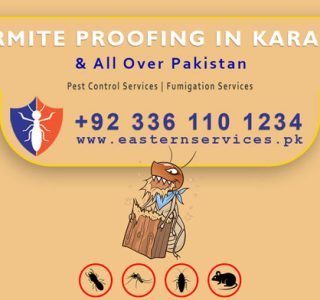 termite proofing in Karachi