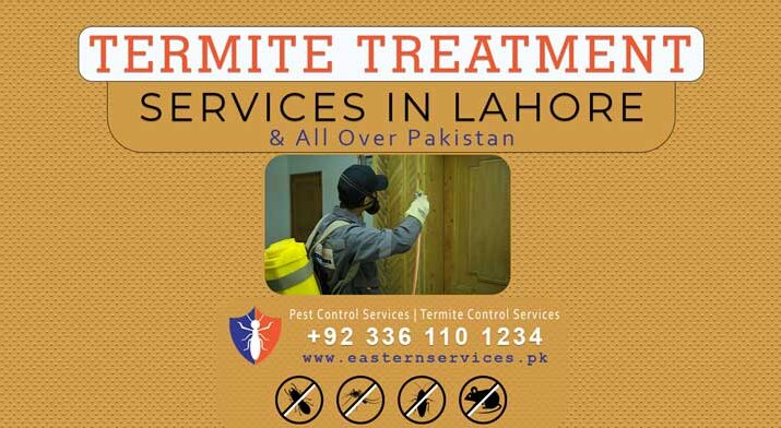 best termite treatment services in Lahore