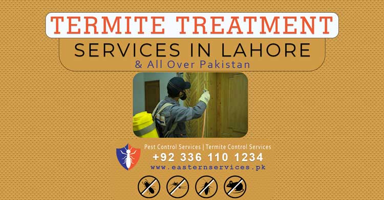 best termite treatment services in Lahore