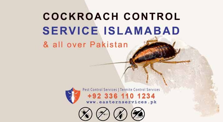 cockroach control services in Islamabad