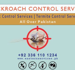 cockroaches control services near me