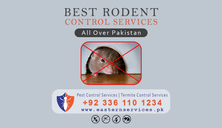 best rodent control services in Pakistan