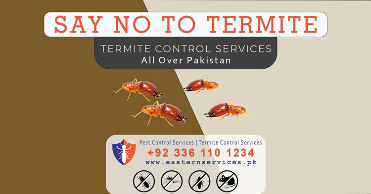 say no to termite