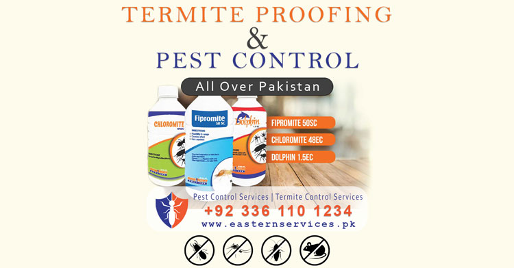 termite proofing and pest control