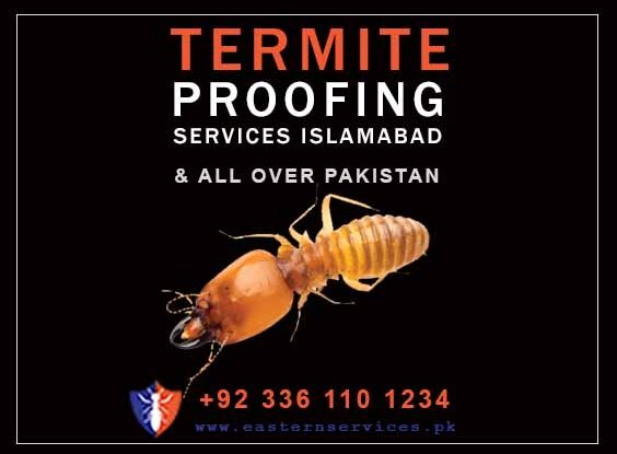 termite proofing services in Islamabad