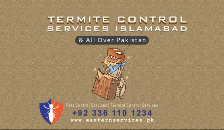 best termite control services Islamabad
