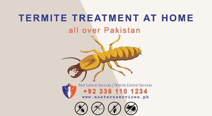 termites treatment at homes