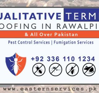 qualitative termite proofing in rawalpindi