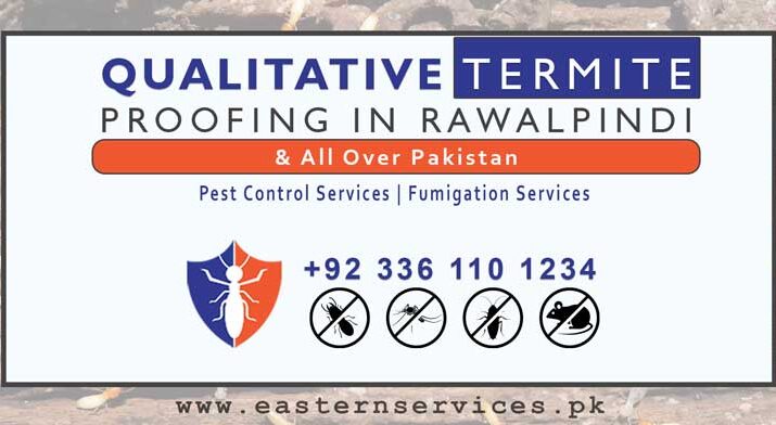 qualitative termite proofing in rawalpindi