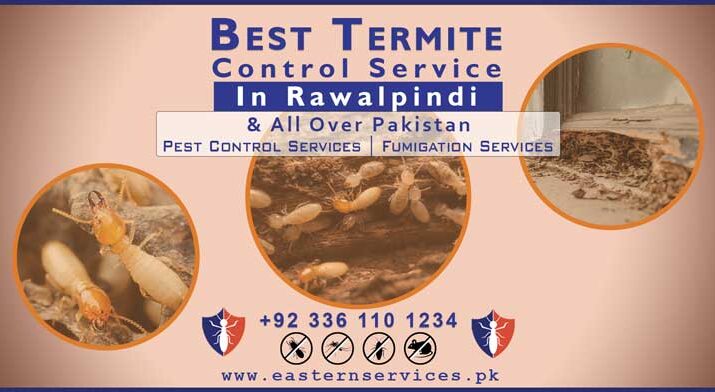 Termite control service in Rawalpindi