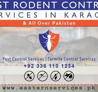 best rodent control services Karachi