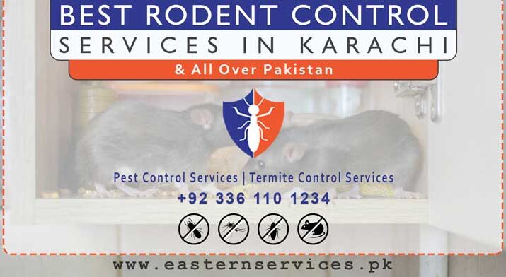 best rodent control services Karachi