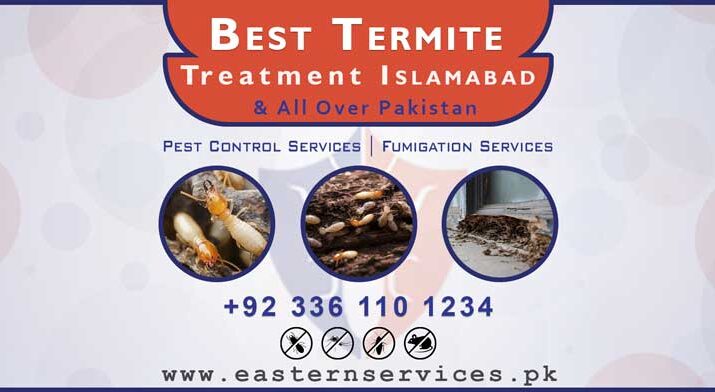 best termite treatment in Islamabad
