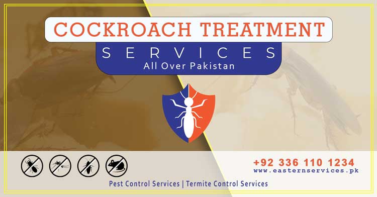 best cockroach treatment services near me