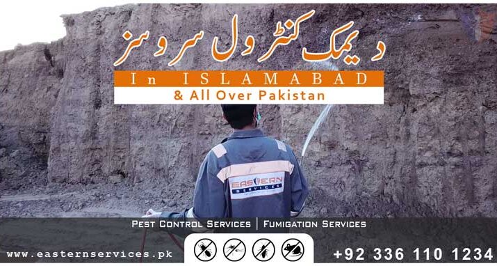 best demak control services in Lahore