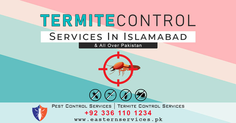 best termite control services in Islamabad
