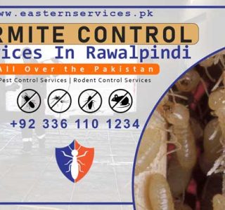 best termite control services in Rawalpindi