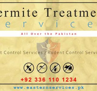 Best termite treatment services near me