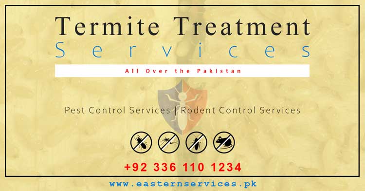 Best termite treatment services near me
