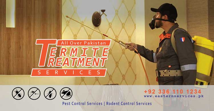best termite treatment services near me