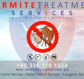 best termite treatment services in lahore