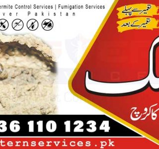 best demak control services