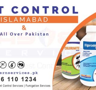best pest control Islamabad