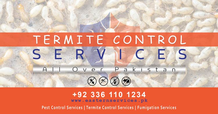 best termite control services