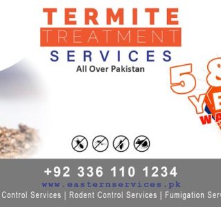 best termite treatment services