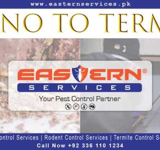 best termite control Islamabad