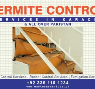 termite control services in Karachi