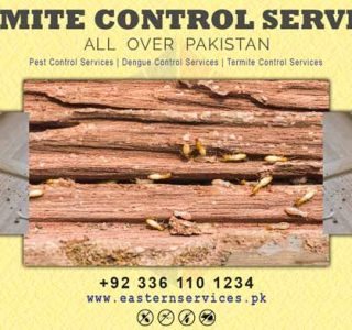 best termites control services Islamabad
