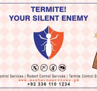 best termite proofing in Lahore