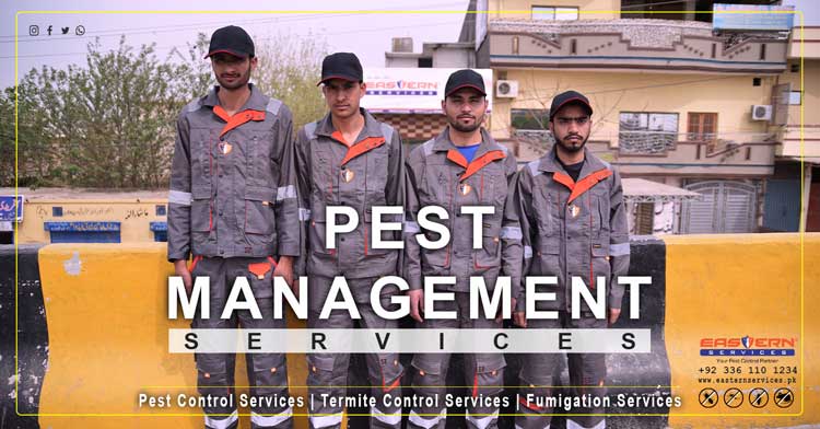 best Pest management services