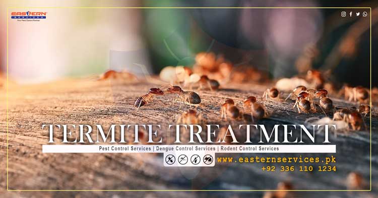 best termite treatment services