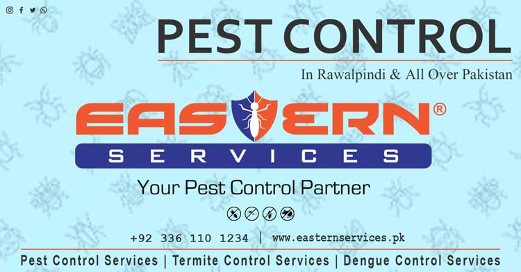 best Pest control near me