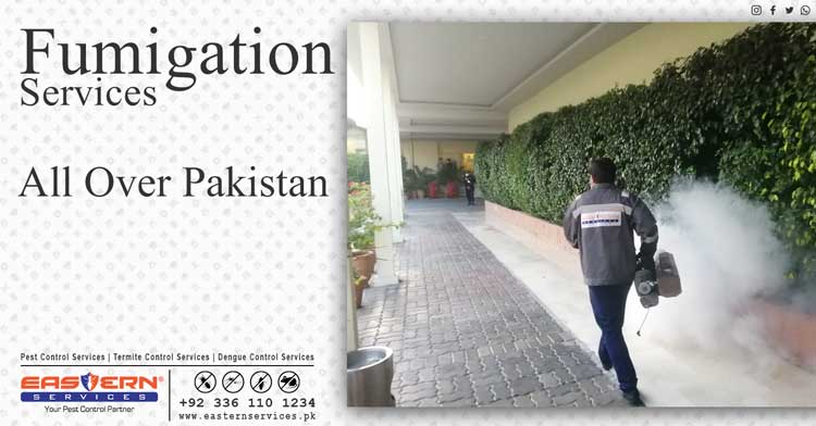 best fumigation services in Pakistan