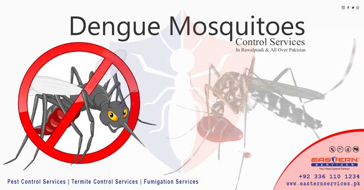 dengue symptoms