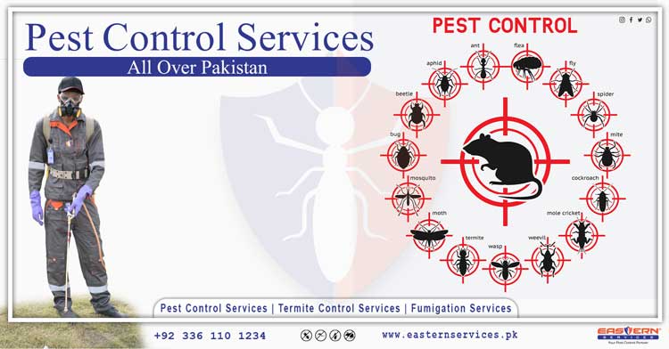 pest control services