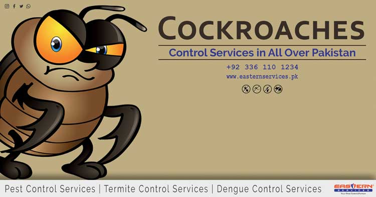 cockroach control services