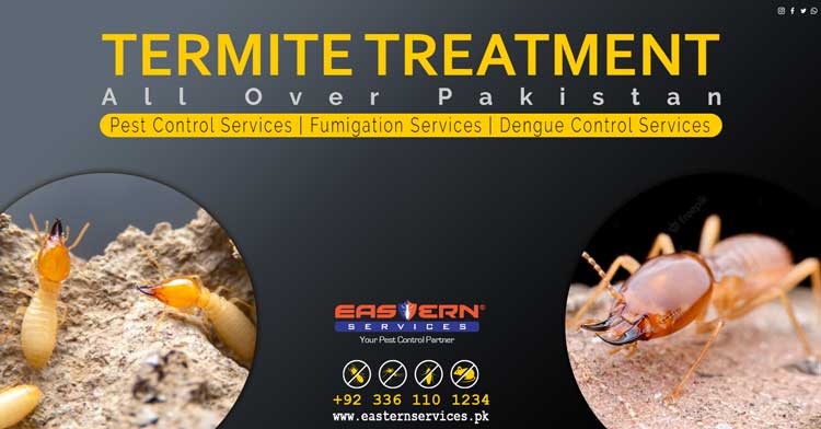 termite treatment services