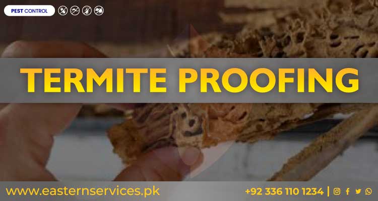 Termite Proofing Services