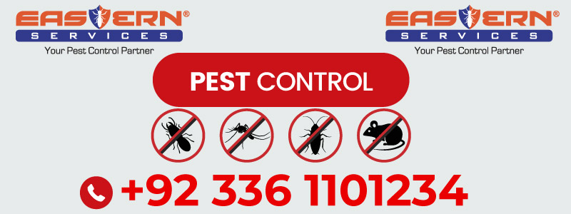 Pest Control In Jehlum City