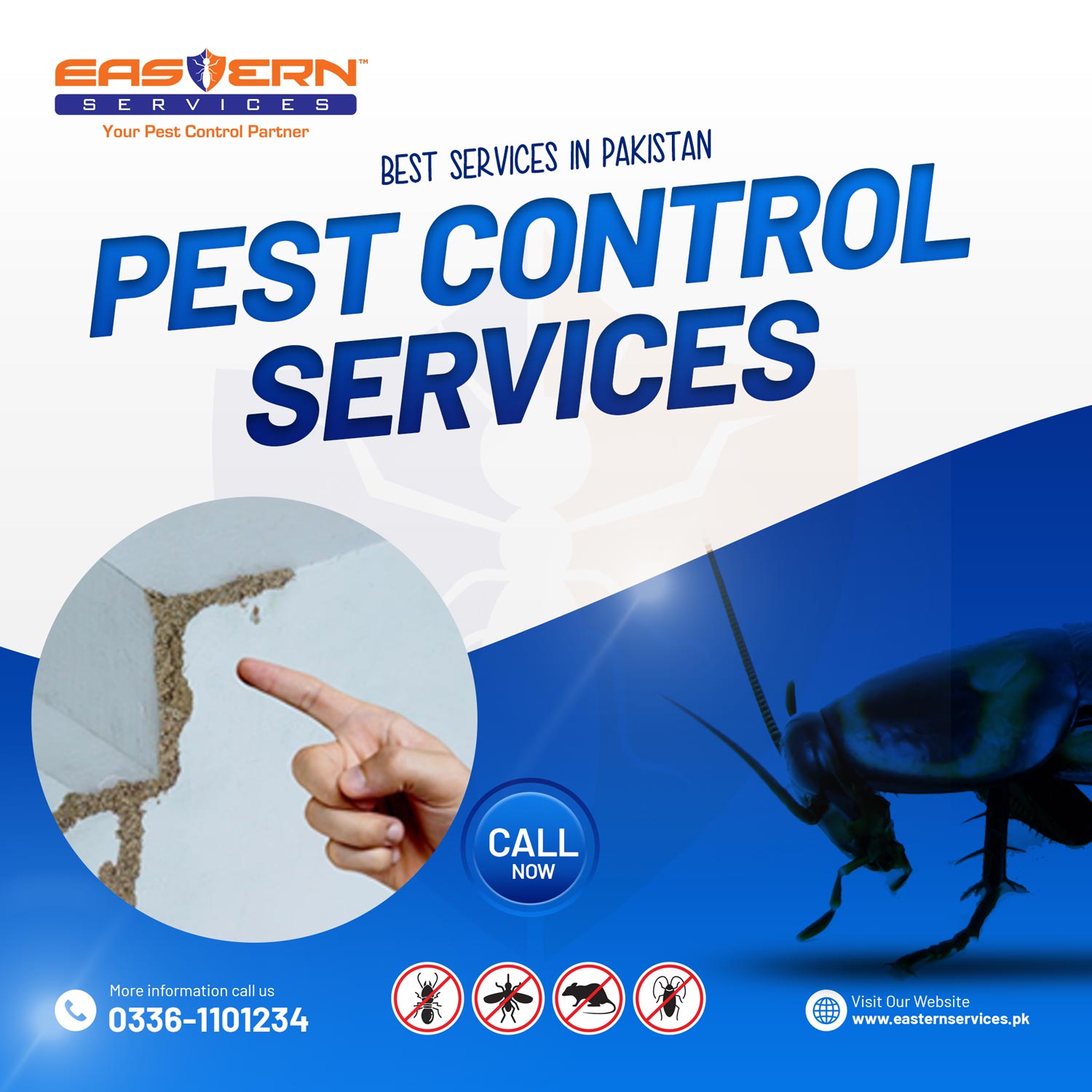 Termite Solution In Rawat Islamabad