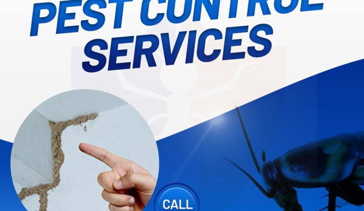 Fumigation Services For Restaurants Islamabad