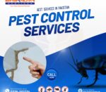 Rat Control Services For Restaurants