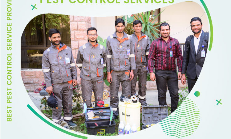 Pest Control Services F-6 | F-7 | F-8 Islamabad
