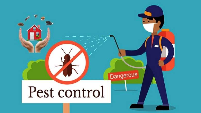 Quality Pest Control Services in Islamabad
