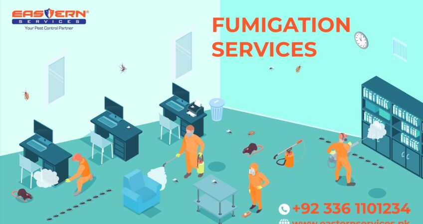 Fumigation Services For Restaurants Islamabad